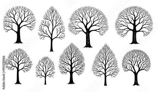 Hand drawn bare forest tree illustration collection with autumn leafless nature sketches