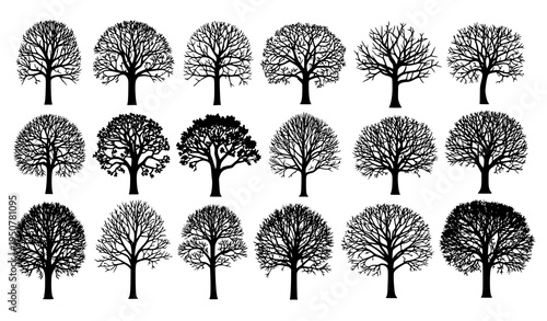 Leafless forest tree silhouette vector set with autumn bare trees nature elements