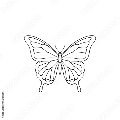 A minimalist line drawing of a butterfly.