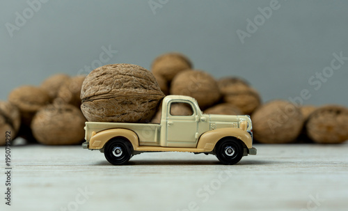 Old yellow car carrying a large walnut and behind it is a pile of walnuts in the background