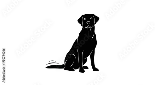 A Loyal Labrador Retriever Pet Silhouette Patiently Sitting with Wagging Tail.