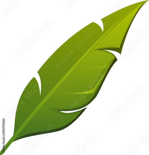 Pirate font or Caribbean corsairs typeface, vector cartoon piracy typography. Punctuation mark or slash sign of palm tree leaf for pirate font or corsairs type and marine sailing adventure typeface