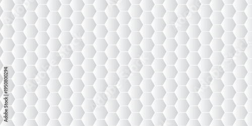 3D white abstract background overlap layer on bright space with embossed hexagons decoration. Modern graphic design element honeycomb style concept for web banner, art, flyer, card, or brochure cover