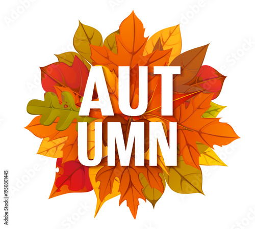 Autumn season fall leaves banner for autumnal holiday or Thanksgiving Day, vector poster. Autumn banner for greeting with maple, oak or rowan and birch tree leaf in fall foliage for harvest season