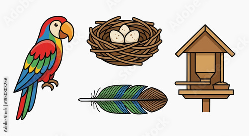 Vibrant illustration featuring a macaw, nest, bird feeder, and feather