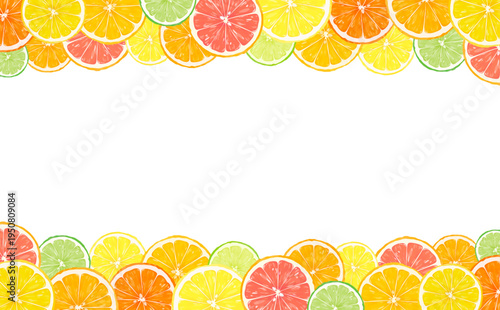 輪切りシトラスのフレーム_上下_横