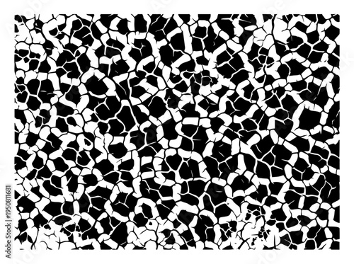 Cracked soil texture background, organic dry mud pattern or giraffe skin print vector illustration