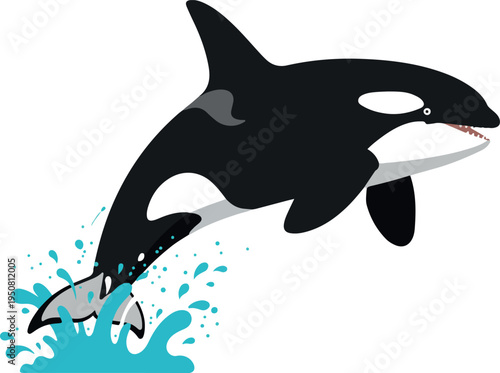 Orca Killer Whale Jumping From Blue Water Splash Vector Icon