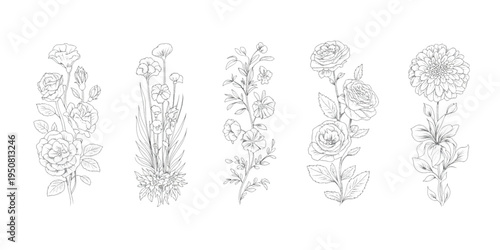 A collection of five elegant hand drawn botanical flower arrangements in a fine line art style Vector