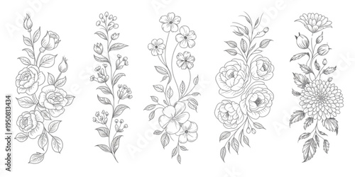 A collection of five elegant hand drawn floral arrangements featuring various botanical elements Vector