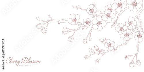 Elegant hand drawn cherry blossom branch with delicate flowers and buds in a soft aesthetic style Vector