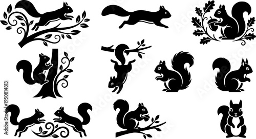 Dynamic Running Squirrel Silhouette Vector Set with Multiple Action Poses and Decorative Elements

