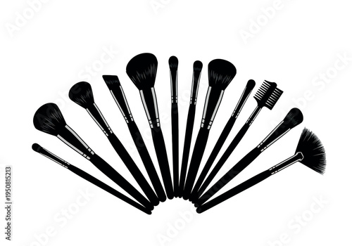 Assorted makeup brushes arranged in a fan shape on a white background