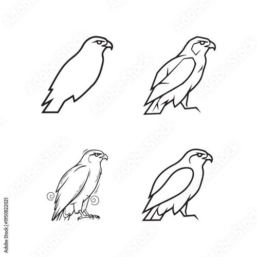 Four different line drawings of hawks