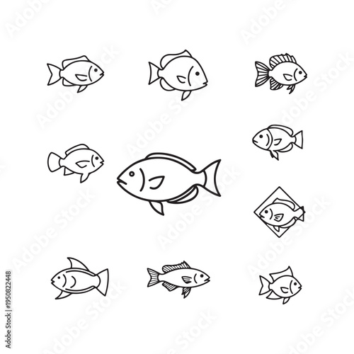 A group of fish swimming in different directions