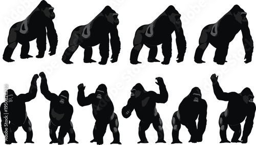 Set of gorilla silhouettes showing walking and waving poses, black primate character collection isolated wildlife animal vector illustration design pack