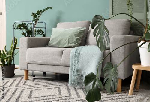 Interior of living room wit...
