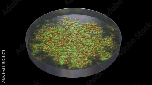 Bacteria growing in petri dish. Microbes reproducing in petri dish. Lab grown meat. Synthetic lab grown food. 3d render illustration isolated on black background.