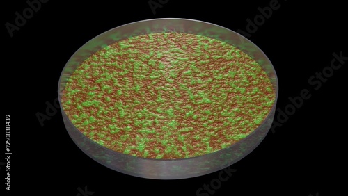 Bacteria growing in petri dish. Microbes reproducing in petri dish. Lab grown meat. Synthetic lab grown food. 3d render illustration isolated on black background.