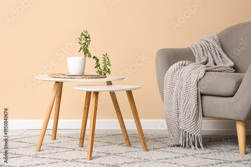 Comfortable armchair and co...