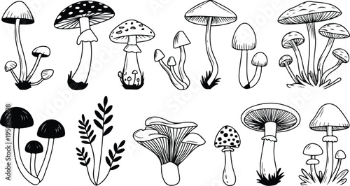 Set of various hand drawn mushroom illustrations isolated on white background