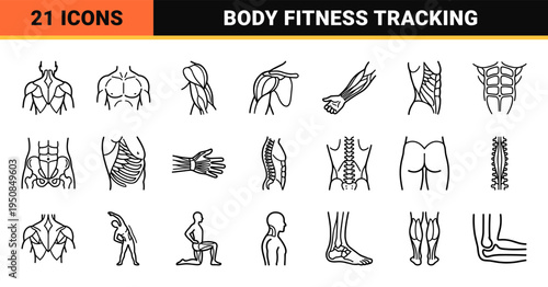 Human Muscular Anatomy Monoline Technical Symbols for Fitness Apps and Medical Diagrams featuring Minimalist Body Part Outlines and Workout Metrics.