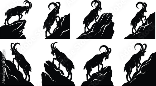 Set of black mountain goat silhouettes climbing rocky cliffs isolated on white background vector illustration for nature wildlife design elements.