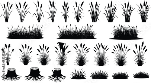 Set of black vector silhouettes featuring cattails, river reeds, grass clumps, tree stumps and bushes for marsh nature landscape design.
