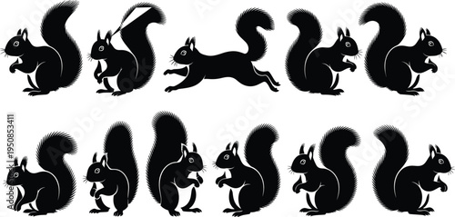 Set of cute squirrel silhouettes vector illustration featuring rodents in various poses like running sitting and eating nuts isolated on white