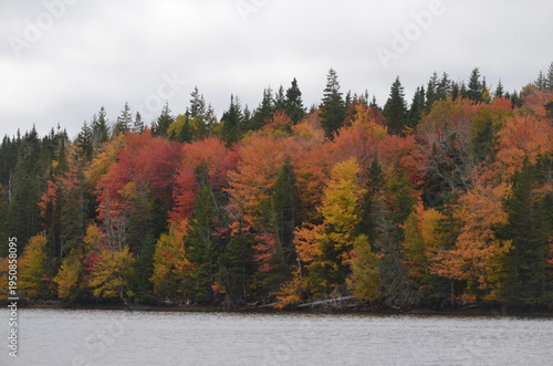 Nova Scotia In Fall