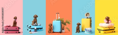 Set of cute dog with travel...
