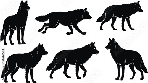 Set of Wild Wolf Silhouette Icons, Forest Predator Vector Illustrations, Gray Wolf Animal Shapes for Nature Branding, Wildlife and Hunter Designs