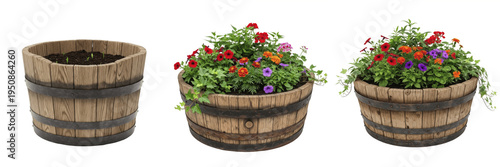 Rustic Wooden Barrel Planter Collection, Vintage Garden Whiskey Half Barrel Pot With Colorful Blooming Flowers, Outdoor Patio Decoration Set Isolated On White Background Asset Render
