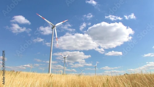 wind turbine in the field