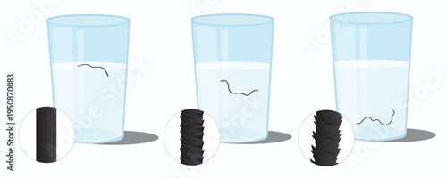 Set of hair strand structures with water glass test for hair care guide.