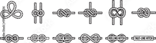A collection of various types of knots used in sailing and rope work. Vector