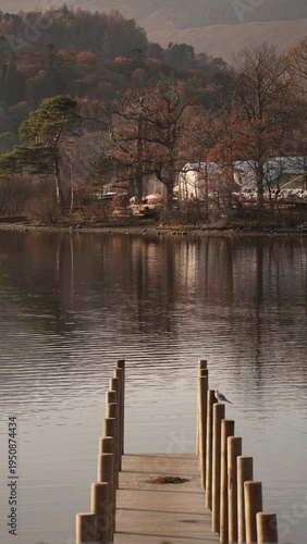 wooden bridge over lake