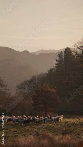 A View in the Lake District 10