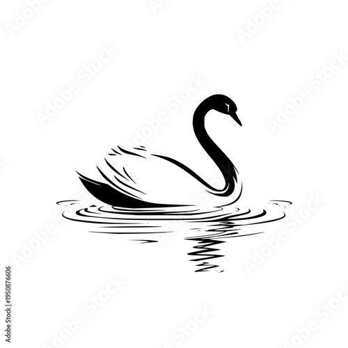 Elegant swan swimming in water vector illustration black and white graceful bird graphic design clip art image art