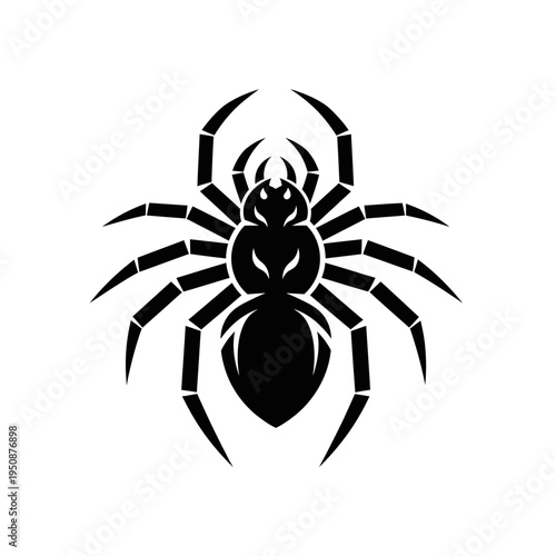 Black spider silhouette with detailed anatomy, isolated