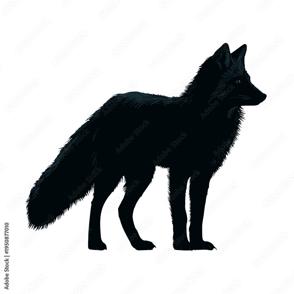 Obraz premium Black fox silhouette standing against a white background