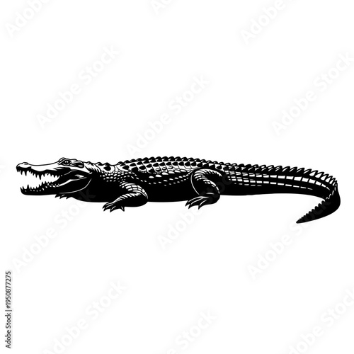 Black silhouette of a crocodile on white background