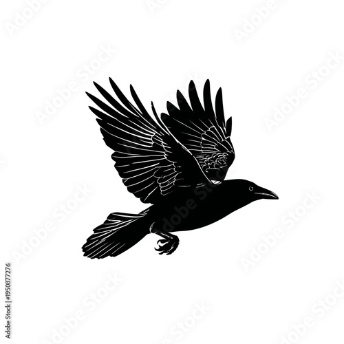 Black silhouette of a flying bird against white