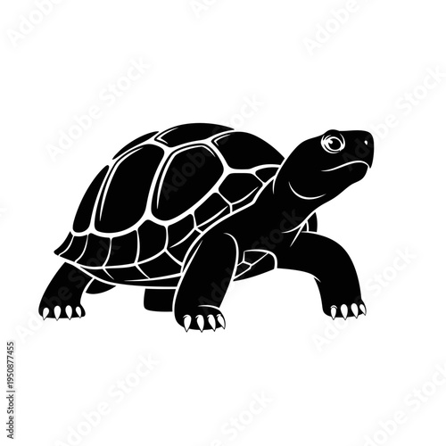 Black silhouette of a tortoise on a white background (1)