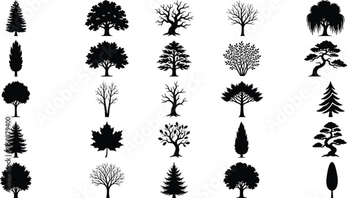 Tree and plant silhouette vector illustration, palm broadleaf conifer icons, tropical forest artwork, botanical outdoor design, landscape foliage scene - flat vector illustration