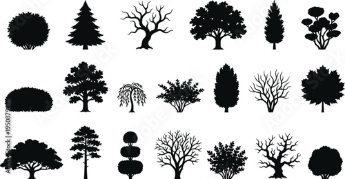 Tree and plant silhouette vector illustration, palm broadleaf conifer icons, tropical forest artwork, botanical outdoor design, landscape foliage scene - flat vector illustration