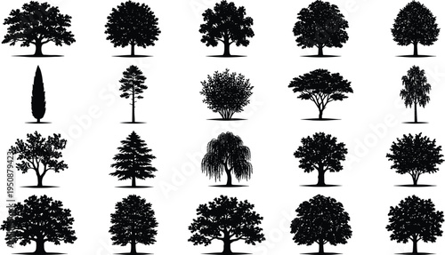 Tree and plant silhouette vector illustration, palm broadleaf conifer icons, tropical forest artwork, botanical outdoor design, landscape foliage scene - flat vector illustration