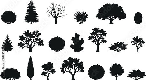Tree and plant silhouette vector illustration, palm broadleaf conifer icons, tropical forest artwork, botanical outdoor design, landscape foliage scene - flat vector illustration