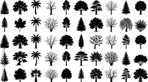 Tree and plant silhouette vector illustration, palm broadleaf conifer icons, tropical forest artwork, botanical outdoor design, landscape foliage scene - flat vector illustration
