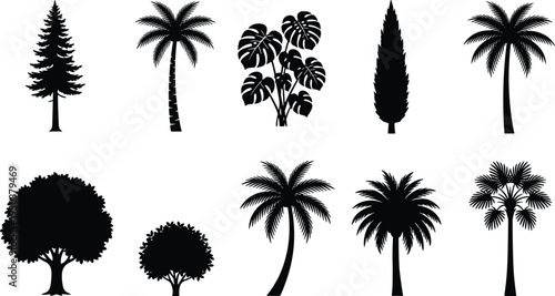 Tree and plant silhouette vector illustration, palm broadleaf conifer icons, tropical forest artwork, botanical outdoor design, landscape foliage scene - flat vector illustration
